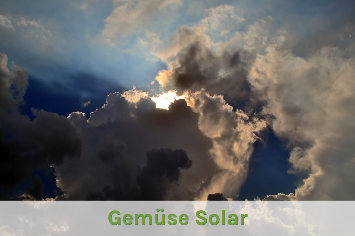 Gemüse Solar
