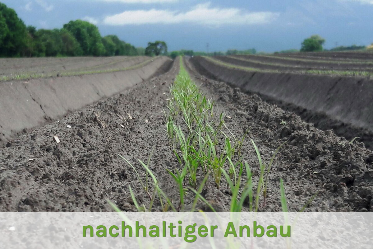 Nachhaltiger Anbau